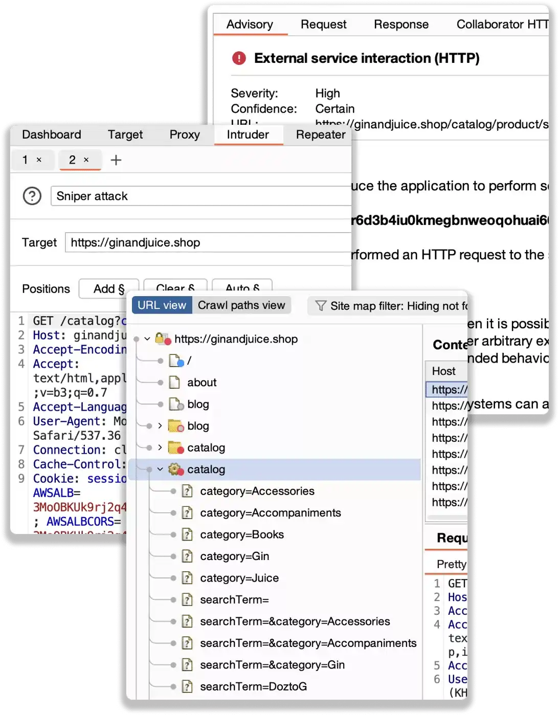 Burp Suite Image