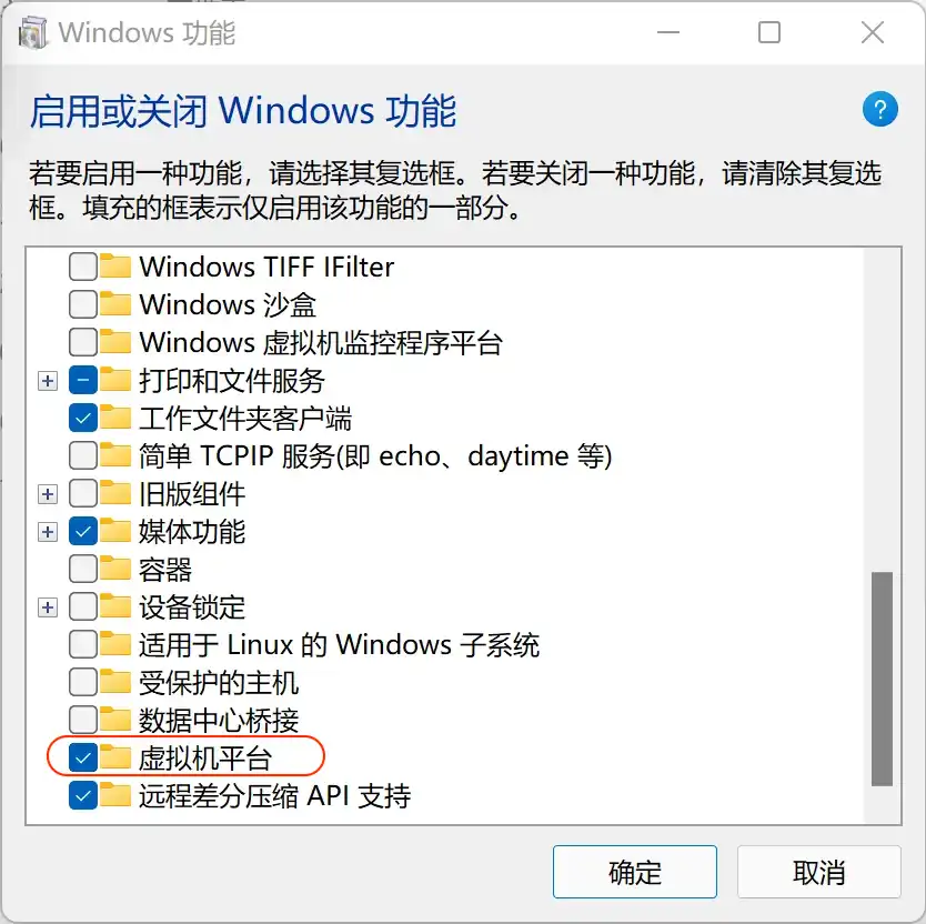windows-optional-feature